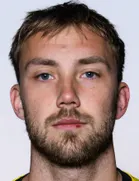 Sander Moen Foss