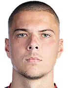 Nemanja Lemajic