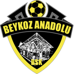 Beykoz Anadolu Spor A.Ş. logo
