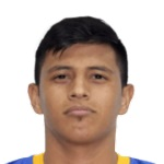 Luis Ibarra