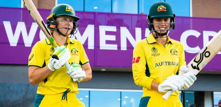 Cricket Cricket